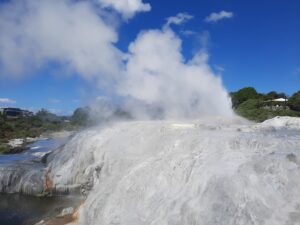 te puia new zealand